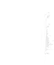 Escapes